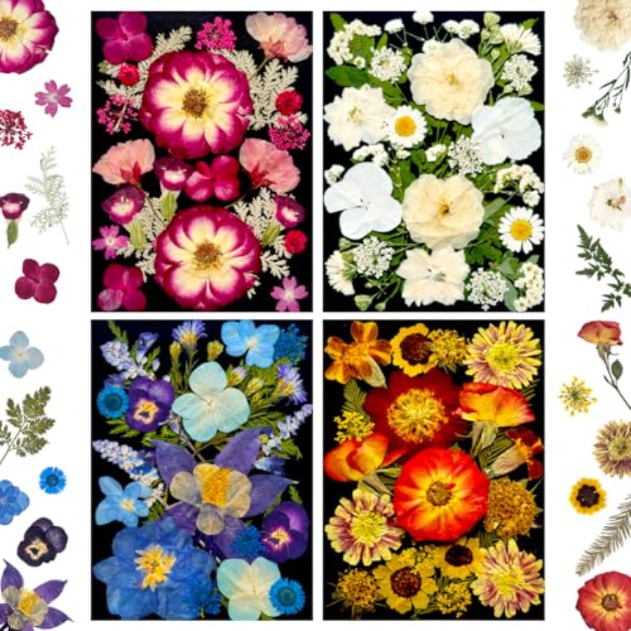 Pressed Dried Flowers for Resi - đánh giá và giá Dried Flower Bulk