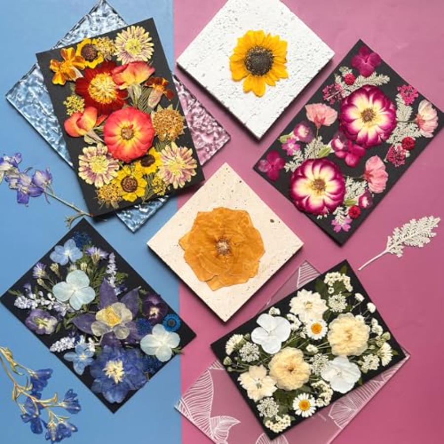 Pressed Dried Flowers for Resi - đánh giá và giá Dried Flower Bulk