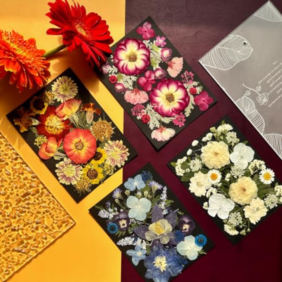 Pressed Dried Flowers for Resi - đánh giá và giá Dried Flower Bulk