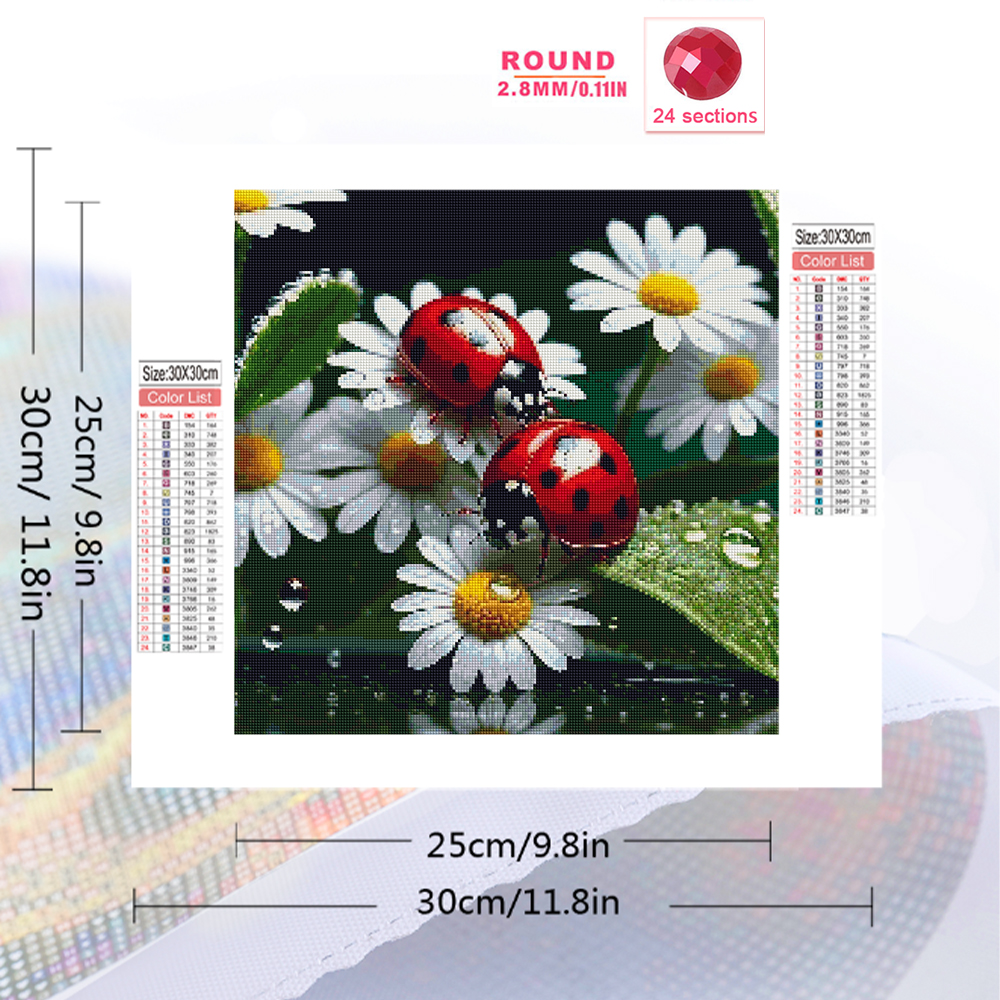 Momoart Diamond Painting Ladyb - đánh giá và giá Resin Craft For Beginners
