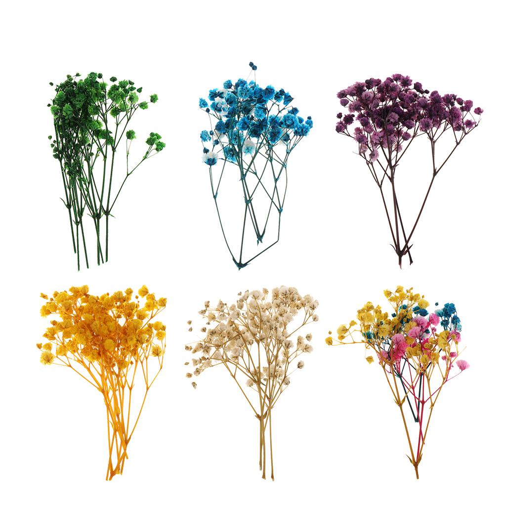 Pressed Dried Natural Flowers  - đánh giá và giá Resin Craft Ideas