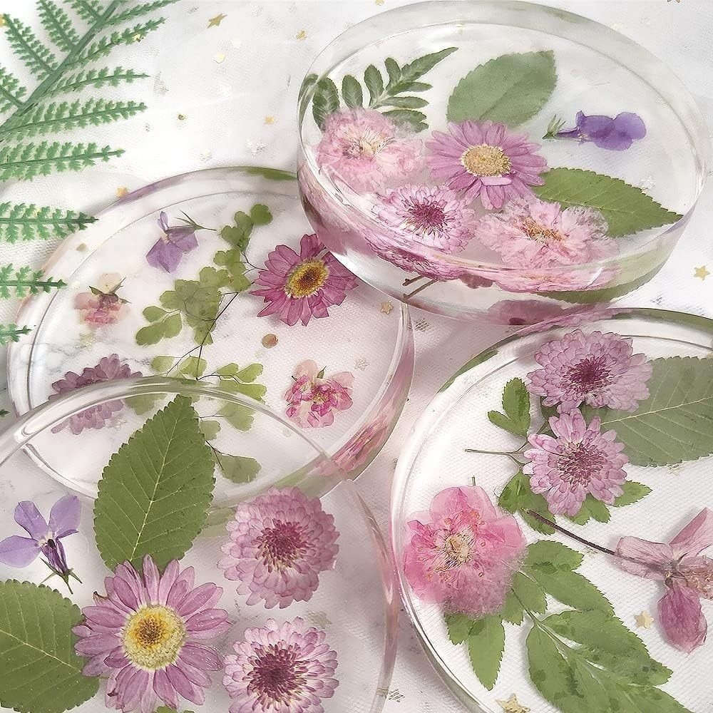 Creative Coasters Silicone Mol - đánh giá và giá Coaster Mold Round