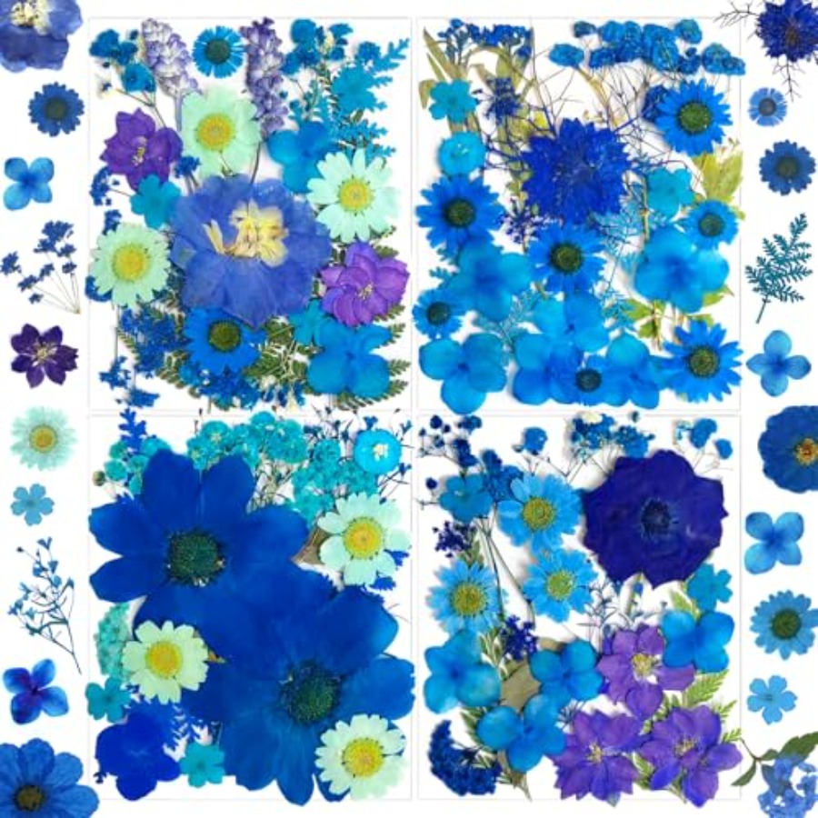 94Pcs Dried Pressed Flowers fo - đánh giá và giá Dried Flower Bulk