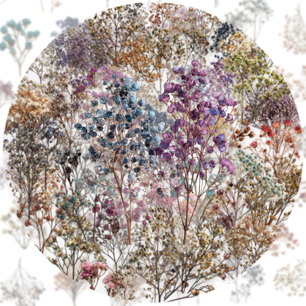 50PCS Retro Color Dried Flower - đánh giá và giá Dried Flower Bulk