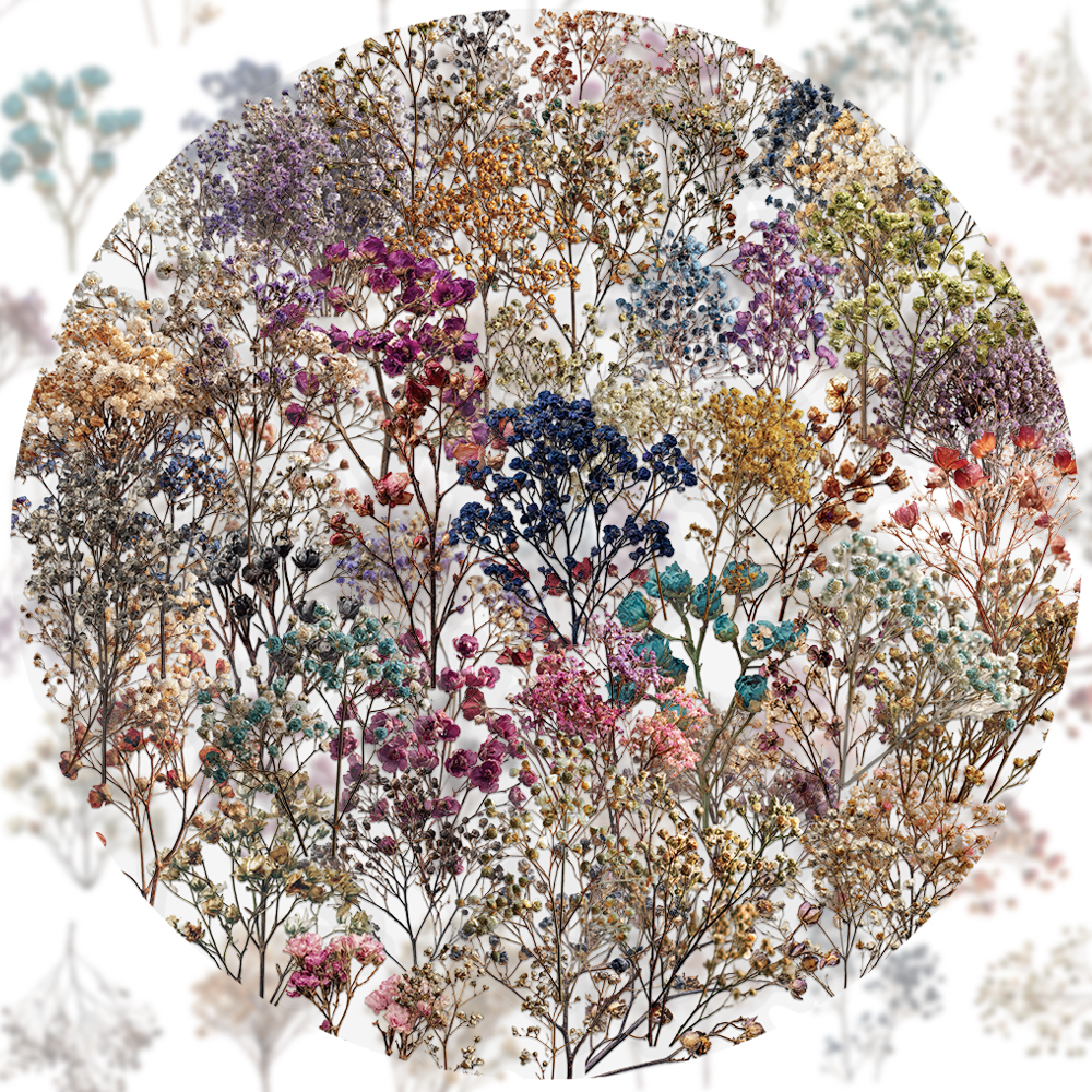 50PCS Retro Color Dried Flower - đánh giá và giá Dried Flower Bulk
