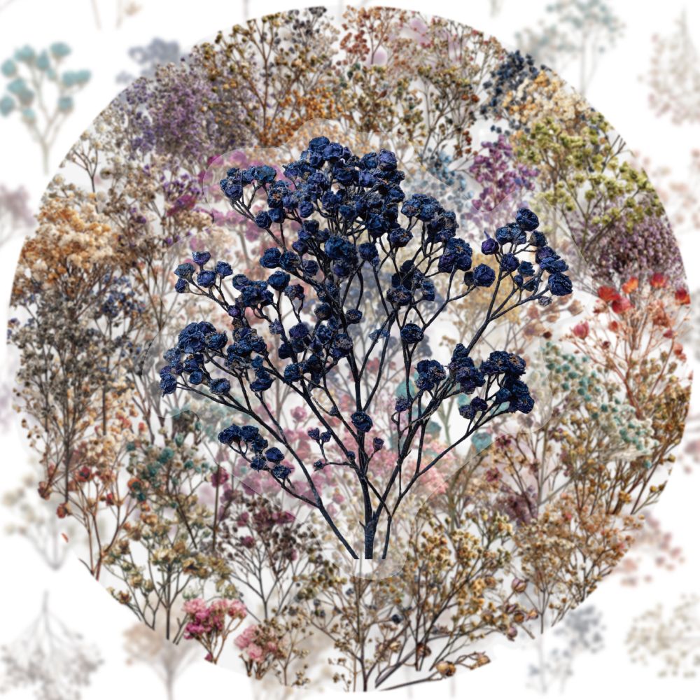 50PCS Retro Color Dried Flower - đánh giá và giá Dried Flower Bulk