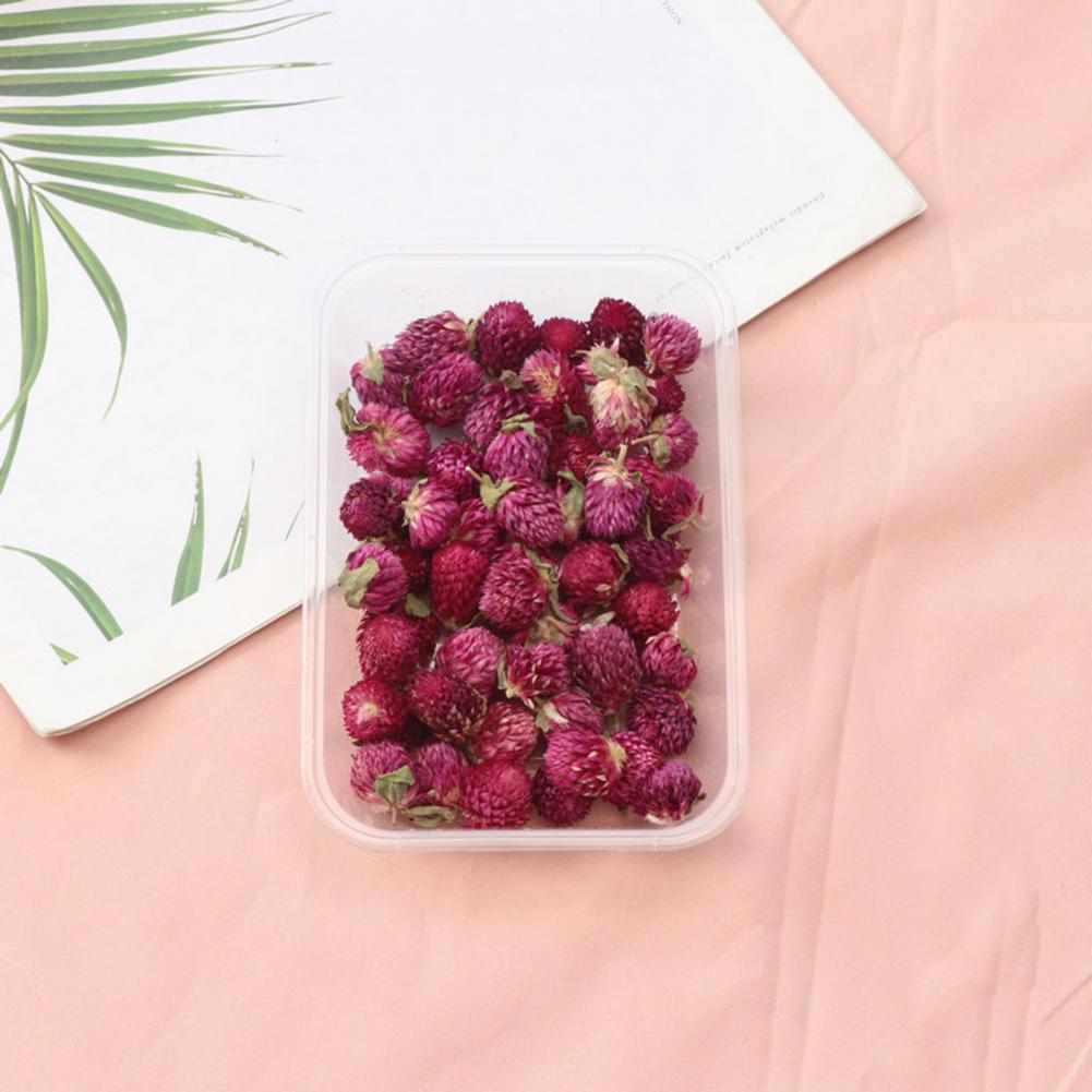 Natural Flowers Diy Dried Flow - đánh giá và giá Dried Flower Bulk