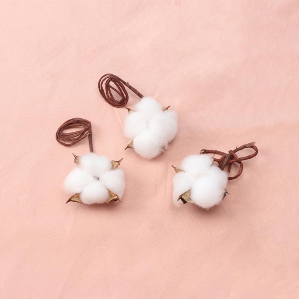 Natural Flowers Diy Dried Flow - đánh giá và giá Dried Flower Bulk