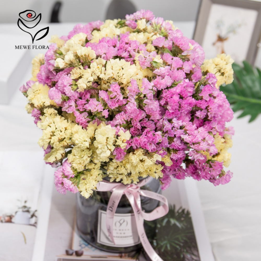 100g Dried Forget Me Not Flowe - đánh giá và giá Dried Flower Bulk