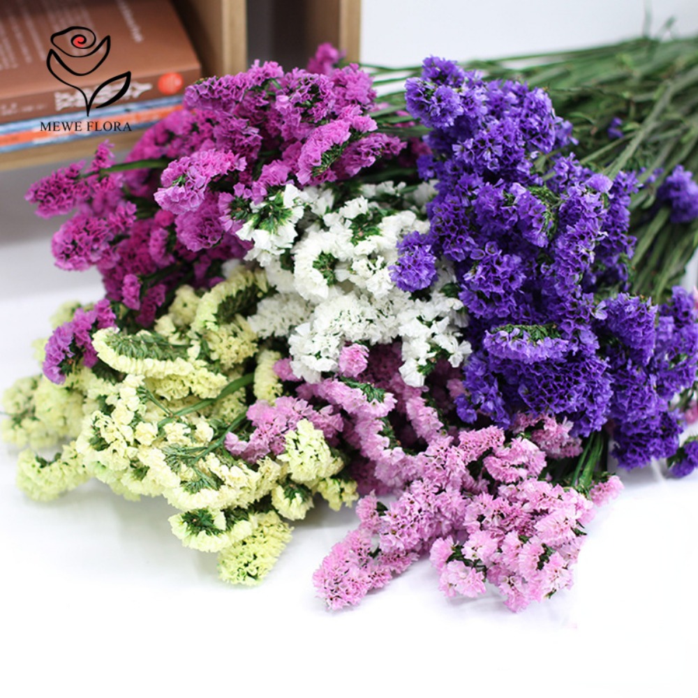 100g Dried Forget Me Not Flowe - đánh giá và giá Dried Flower Bulk