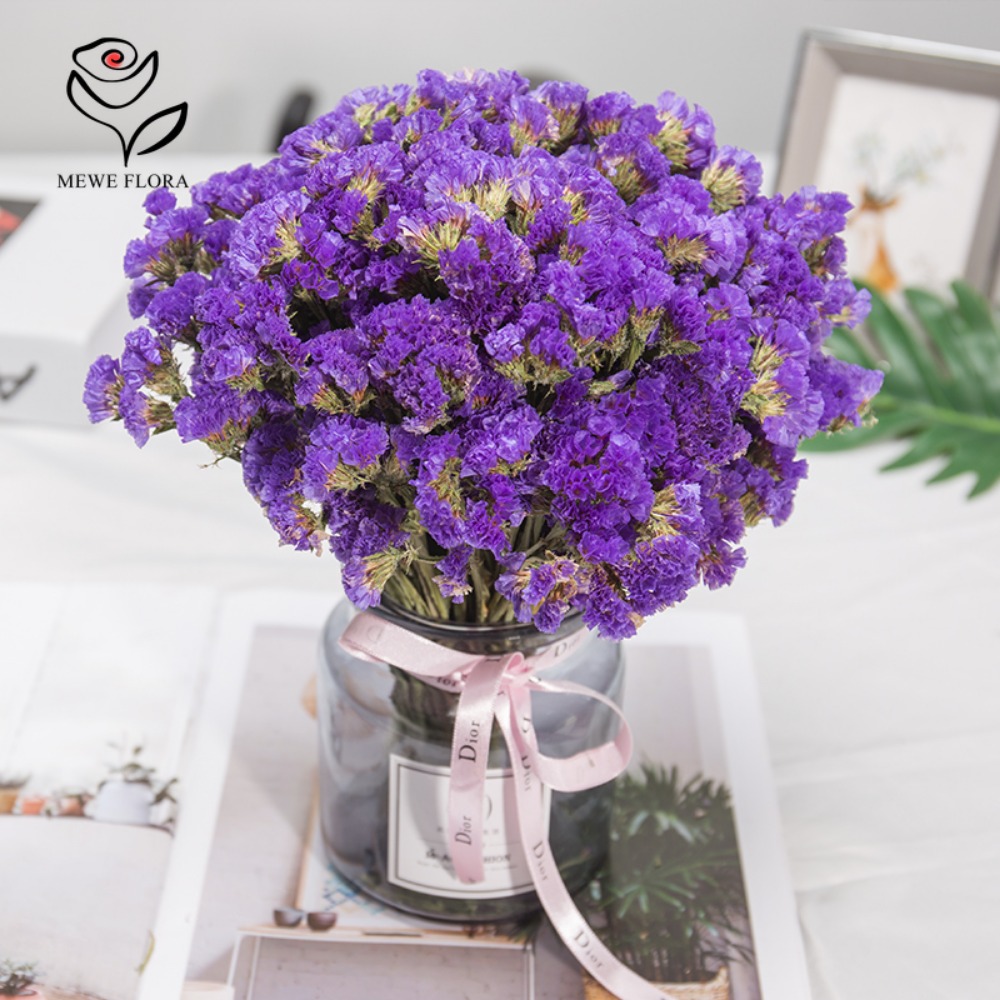 100g Dried Forget Me Not Flowe - đánh giá và giá Dried Flower Bulk