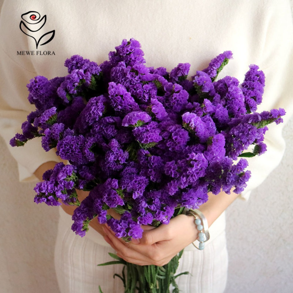 100g Dried Forget Me Not Flowe - đánh giá và giá Dried Flower Bulk