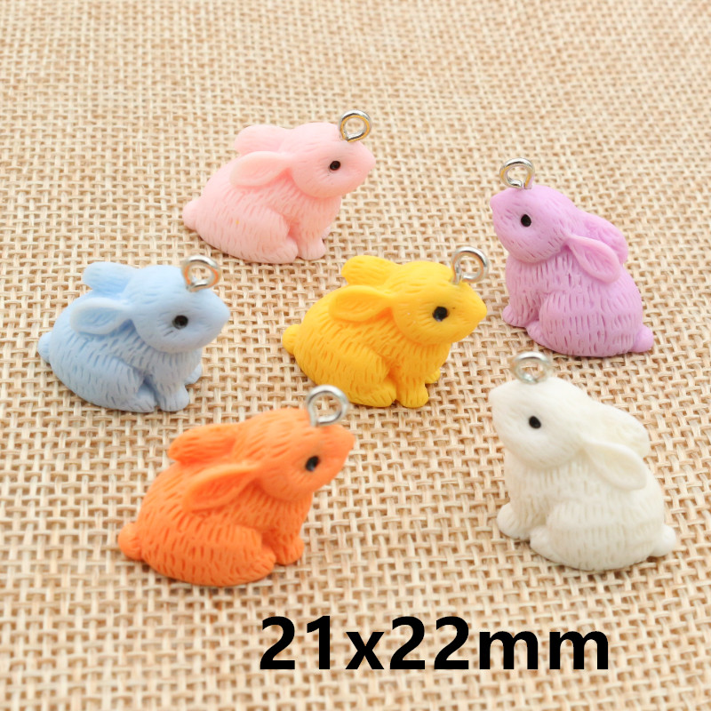 10PCS Resin Pendant Charms Rab - đánh giá và giá Resin Craft Supplies