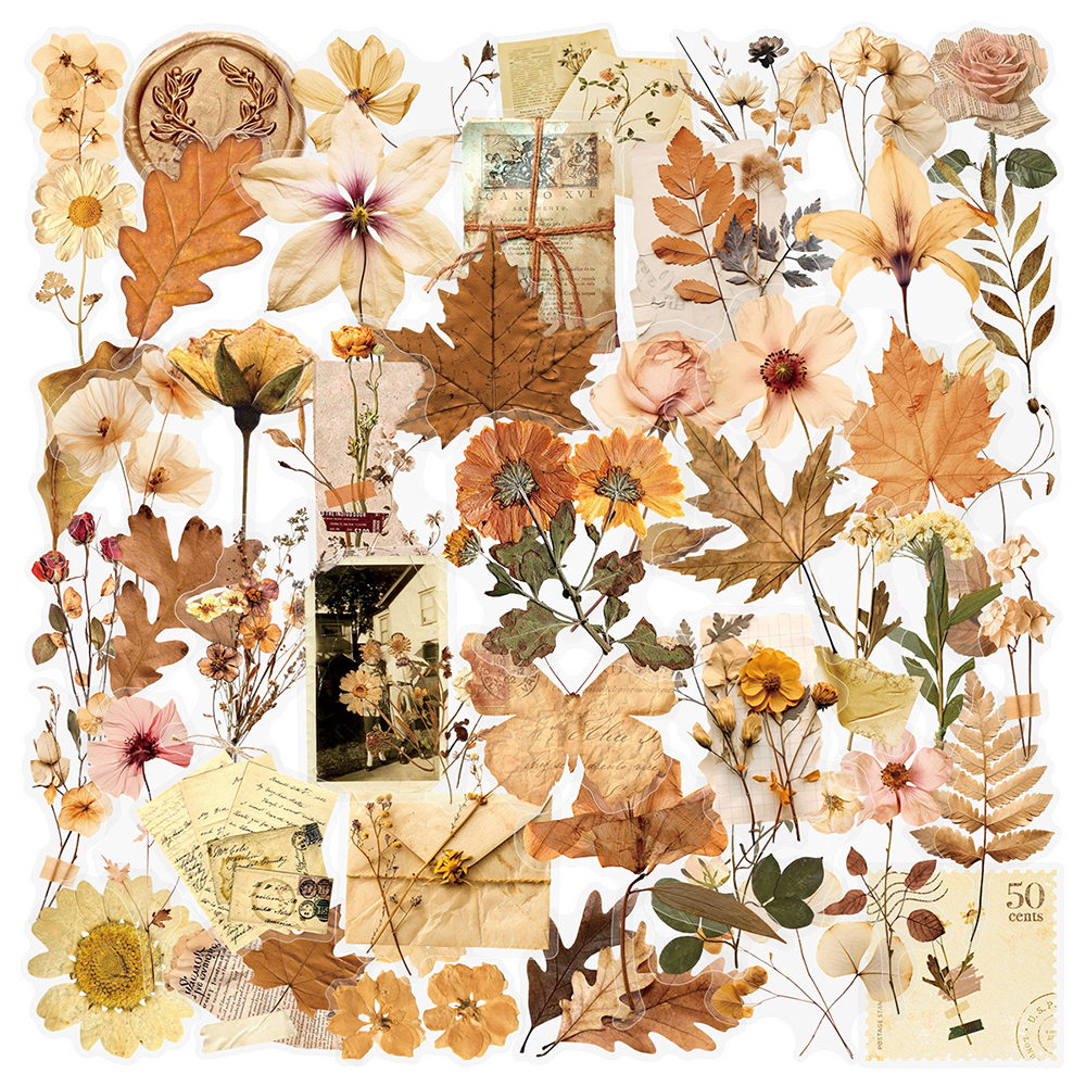 10/30/50pcs Transparent Dried  - đánh giá và giá Dried Flower Bulk