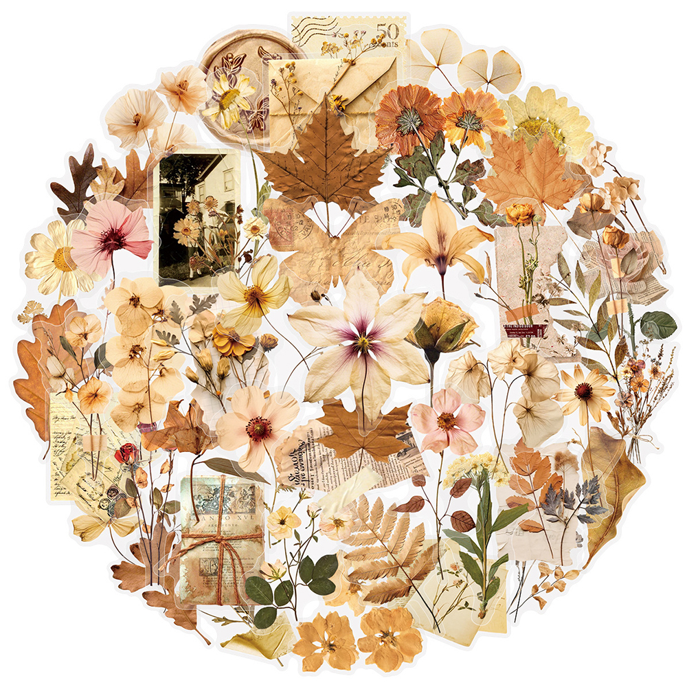 10/30/50pcs Transparent Dried  - đánh giá và giá Dried Flower Bulk