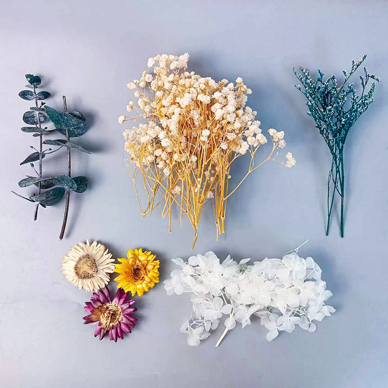 1pack Multifarious Dried Flowe - đánh giá và giá Dried Flower Bulk