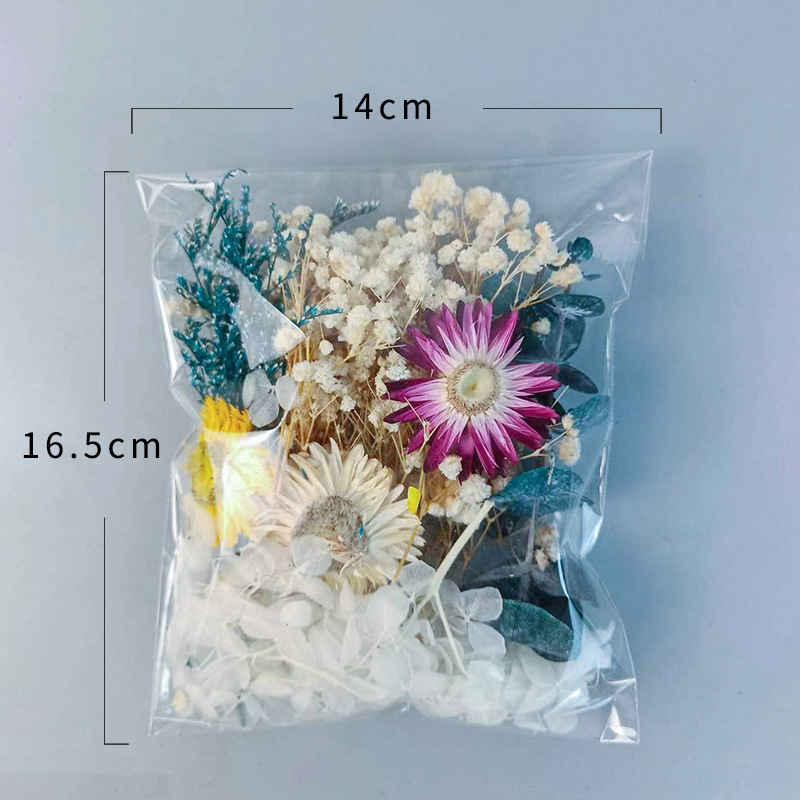 1pack Multifarious Dried Flowe - đánh giá và giá Dried Flower Bulk