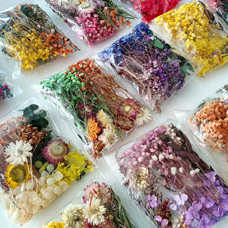 1pack Multifarious Dried Flowe - đánh giá và giá Dried Flower Bulk