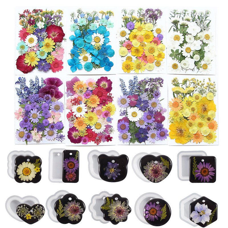 6pcsDried Flowers Real Natural - đánh giá và giá Flower Preservation Resin